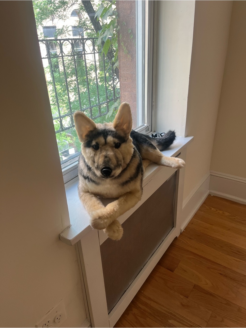 Plush Husky/Sheppard stuffed Dog